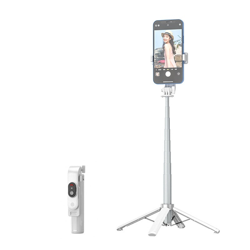 Selfie Rod with LED Light